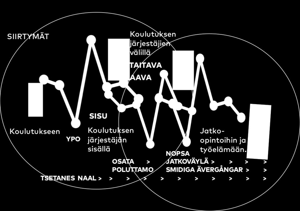 Usean hankkeen haasteena on, että Sujuvat siirtymät -osion tavoitteet on asetettu niin laveasti, että mikä tahansa kehittämistyö mahtuu niiden sisälle.