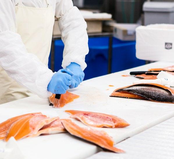 4. LAADUN TEKIJÖISTÄ TÄRKEIN OLET SINÄ Laatu on kalakaupan tärkein tekijä. Laadukas ja oikein käsitelty kala säilyy hyvin vedestä ruokapöytään saakka.