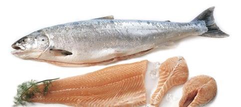 5.6 LOHI TUOTENIMI: Pyynti/Kasvatus: Tuoreen tuotteen ominaisuudet: Käyttö ruoanvalmistuksessa: Yleisimmät tuotteet vähittäiskaupassa: Muuta: LOHI (SALMO SALAR) RUOTSIKSI: LAX, ENGLANNIKSI: SALMON