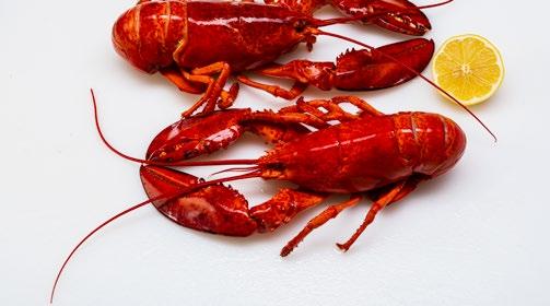 6.9 HUMMERI TUOTENIMI: Pyynti: Tuoreen tuotteen ominaisuudet: Käyttö ruoanvalmistuksessa: Yleisimmät tuotteet vähittäiskaupassa: Muuta: AMERIKANHUMMERI (HOMARUS AMERICANUS) EUROOPANHUMMERI (HOMARUS