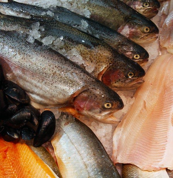 Kuva: Mika Remes 1. KALALLE ON KYSYNTÄÄ Kala on kaupassa kysytty tuote. Kuluttajatutkimusten mukaan 95 prosenttia suomalaisista syö kalaa ja 75 prosenttia haluaisi syödä sitä nykyistä enemmän.