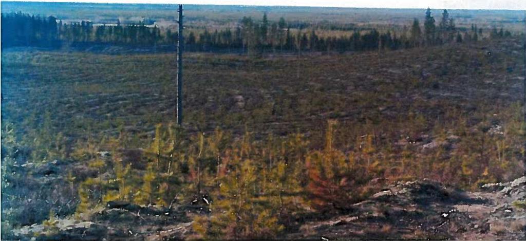 sään n. 6 km. Kaavanlaatija myöntää raportissaan s. 13, ettei erillistä näkyvyysanalyysia ole tehty ja näin ollen todellista maisemavaikutushaittaa ei ole huomioitu riittävästi.