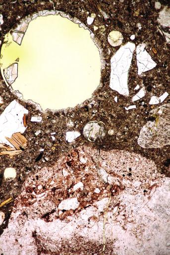 seudulla.
