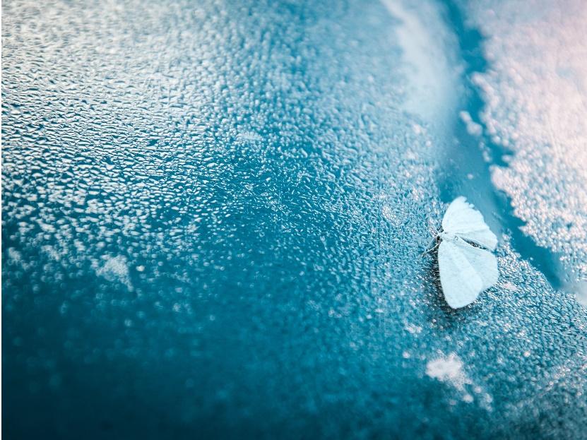 Käyttö ja ylläpito Poikkeustilanteet Esimerkiksi Vakavat tapaturmat Ilkivalta Eksyminen Alueiden suunnittelematon käyttö Trendit ja uudet ilmiöt Käytännöt suunniteltava