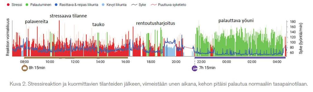 tehokkaasti, mutta ei heikennä palautumista levon ja unen aikana.