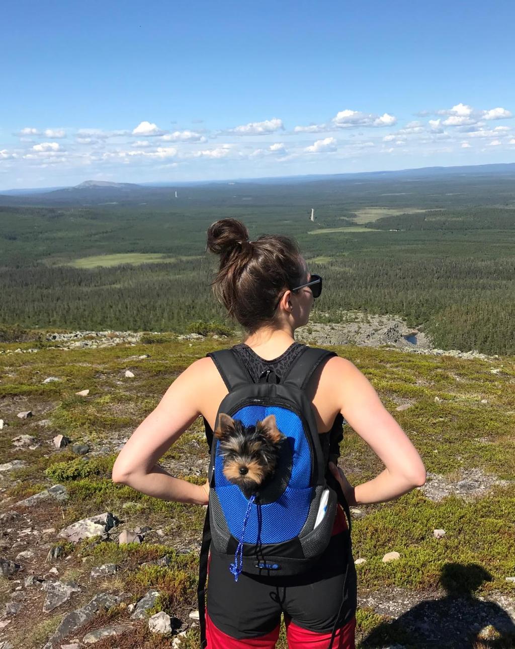 Minä olen - TtM, terveyskasvatus, 01/2017 - Tohtorikoulutettava, gerontologia, GEREC, 1.3.