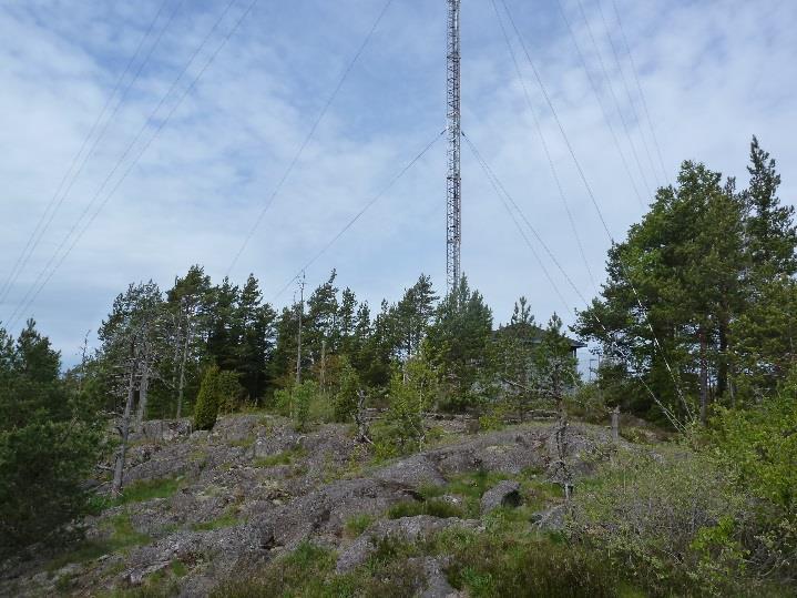 Korkeajännitejohdon alueella