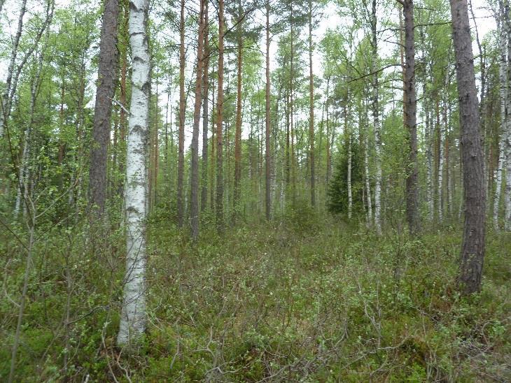 saariston ja Pohjanpitäjänlahden merensuojelualue nimiseen Natura 2000