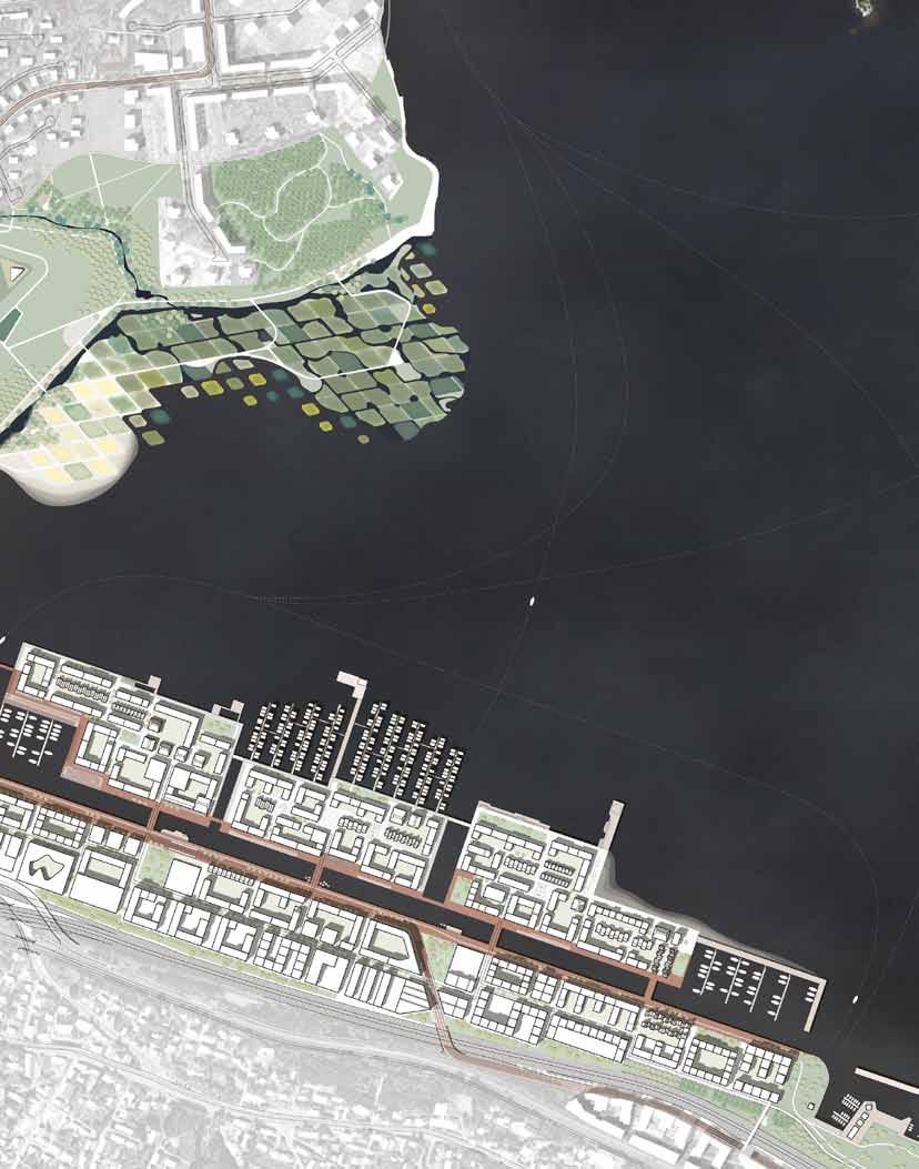 RAKENNUSTYPOLOGIAT RAKENNUSTYPOLOGIAT aluesuunnitelma areal plan 1:7500 ASUNNOT sun + microclimate PINOTUT RIVITALOT KELLUVAT TALOT RIVITALOT