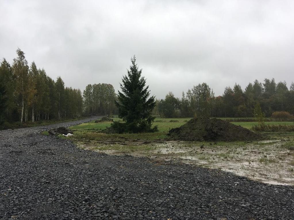 Nosto Consulting Oy 7 (17) Näkymä kohti tietä ja lännessä sijaitsevaa peltoaluetta Kokemäenjoen rantaosayleiskaavaa varten on laadittu luontoselvitys (Biota BD Oy, 2003), jossa tarkistettiin