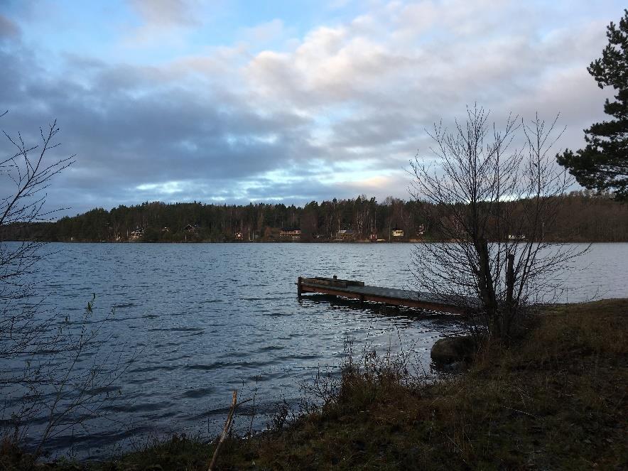 loma-asutuskäytön myötä. Sittemmin järven tila on parantunut, ja järven ekologinen tila on nykyisin tyydyttävä.