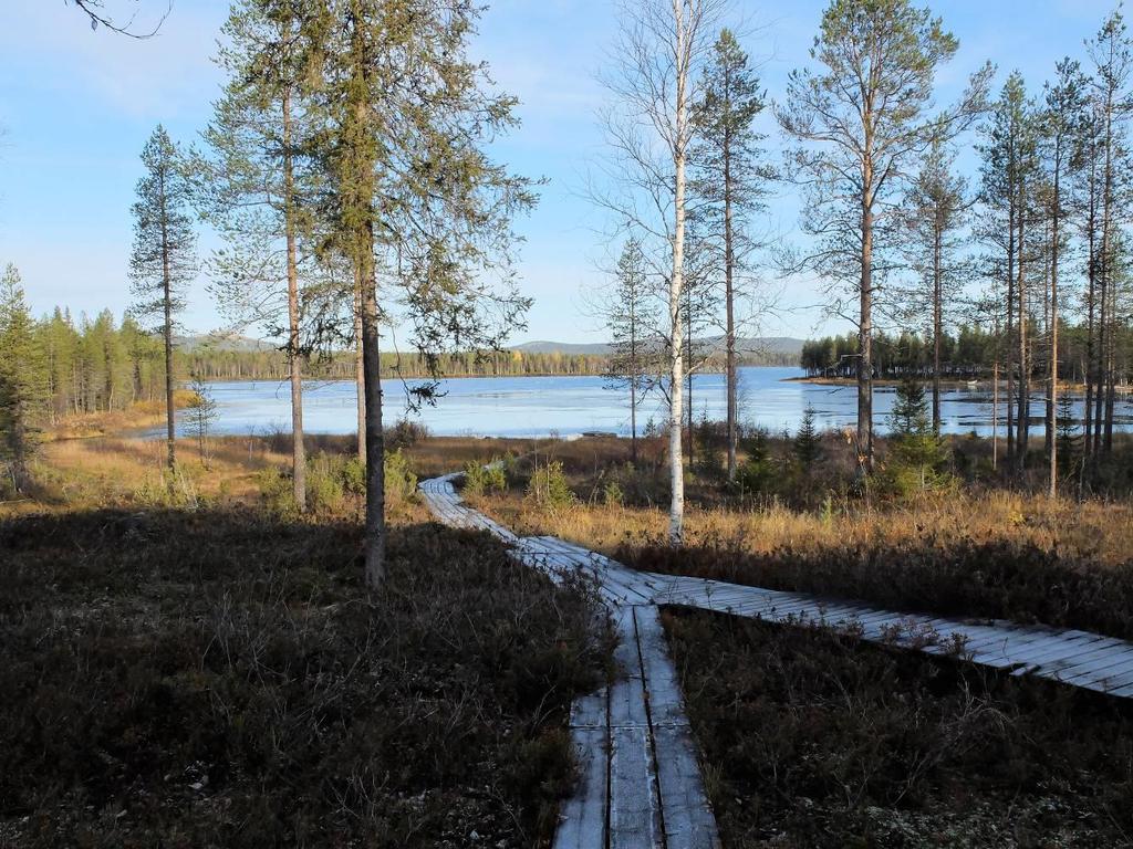 Lievästä rehevyydestä huolimatta kevättalven happitilanne oli tyydyttävä. Syvänteen pohjalla saattaa esiintyä hapettomuutta.