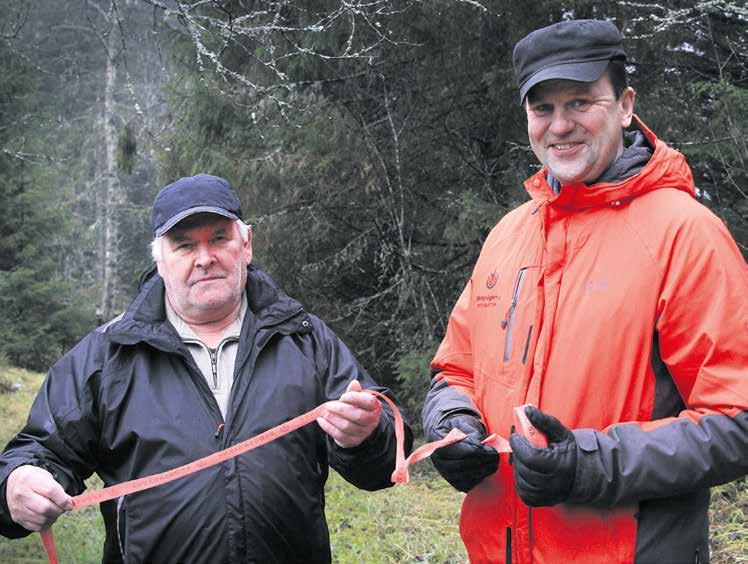 4 MetsänOmistaja 2/2016 Valtakirjakaupat yleistyvät Marraskuinen aamu.