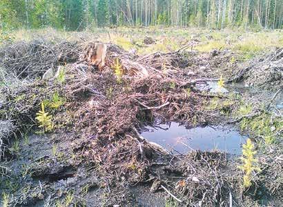 Eri maanmuokkausmenetelmiä Lähde: Hyvän metsänhoidon suositukset, 2014, Tapio Oikean maanmuokkausmenetelmän valinnalla on kauaskantoiset vaikutukset uuden puuston tuottavuuteen ja talouteen.