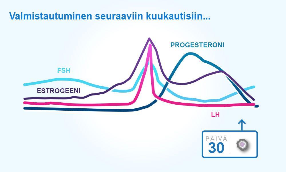 Vaikuttaa myös verisuonten ja kudosten kimmoisuuteen, ihoon, rustoihin ja niveliin.