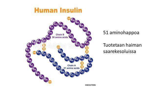 Insuliini Haima Edistää sokerin siirtymistä verestä