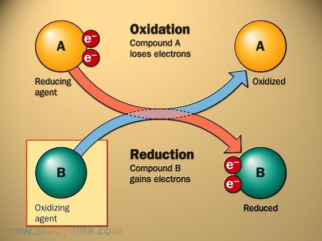 Redox Mittaussovelluksia: Paperikoneiden kiertovedet (mikrobiologia)