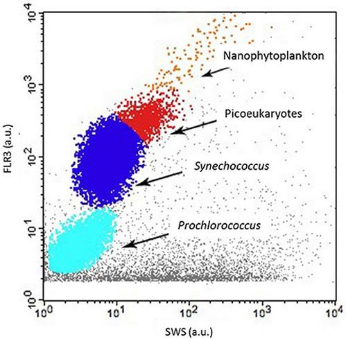 kenttä-tai laboratoriomittaus, myös online