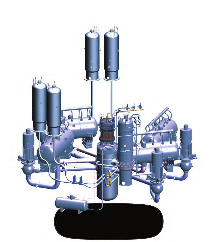 VVER-00 (AES-006) -laitoksen pääkomponentit REAKTORIPAINEASTIA Reaktoripaineastian suunniteltu käyttöikä on 60 vuotta, kun enimmäisneutronivuo seurantanäytteiden tasolla on koko käyttöiän, x 09