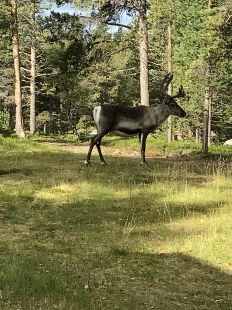 Tietämyksemme ja kunnioituksemme kaikkeen käsityöperinteeseen varmasti vahvistui.