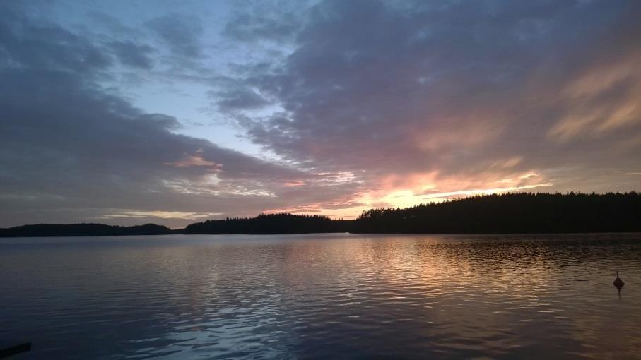 Toimintaohjeen käyttöönotto Toimintaohje hyväksytty kaupunginjohtoryhmässä Ohje esitelty ja