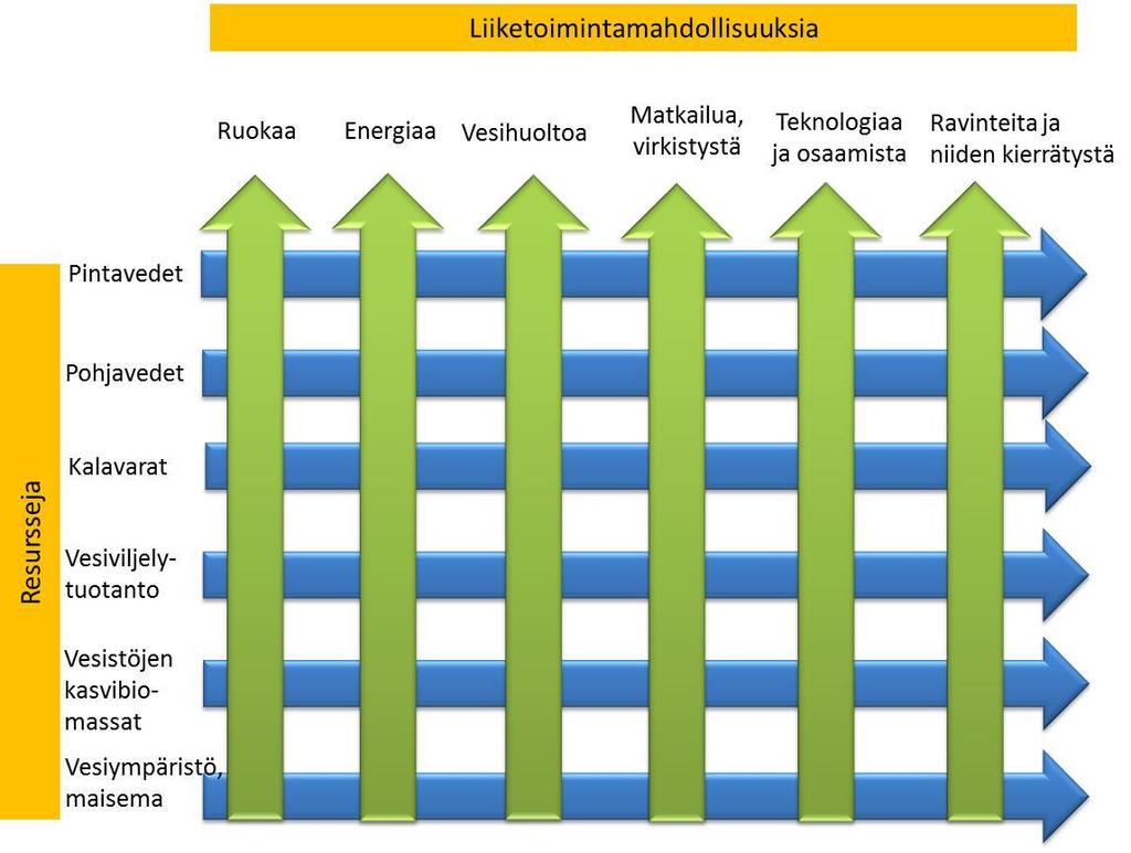 1.4 Sinisen biotalouden pelikenttä ja määrittelyt Sininen biotalous: kestävä arvonluonti vedestä ja uusiutuvista vesiluonnonvaroista Arvonluonti: yritysten liiketoiminnan kautta tai muulla tavoin