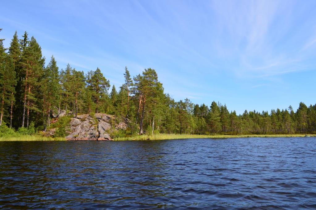 2.TIIVISTELMÄ 2.1.Kaavaprosessin vaiheet Maanomistaja teki alun perin 2014 aloitteen kaavan muuttamiseksi ja Siikaisten kunta totesi kaavamuutoksen mahdolliseksi.