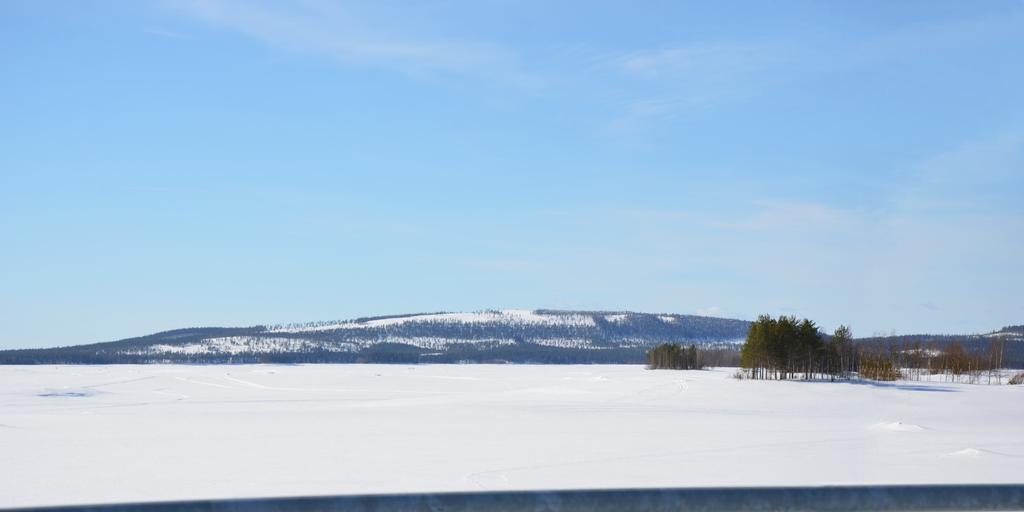 Joka puolella nämä samat masentavat vaarojen raiskaushakkuujäljet näkyvissä jo