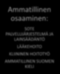 Ammatillinen osaaminen: SOTE