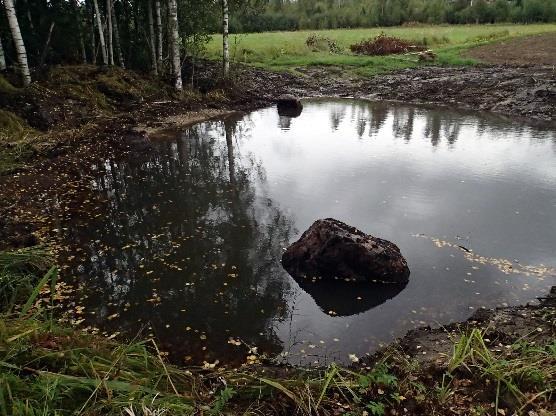 Edellisen kerran allas on ruopattu 1980-luvulla. Allas on siis toiminut vesiensuojelun kannalta hyvin. Ilman allasta tämä kiintoainesmäärä olisi vuosien kuluessa valunut alapuoliseen Myllykoskeen.