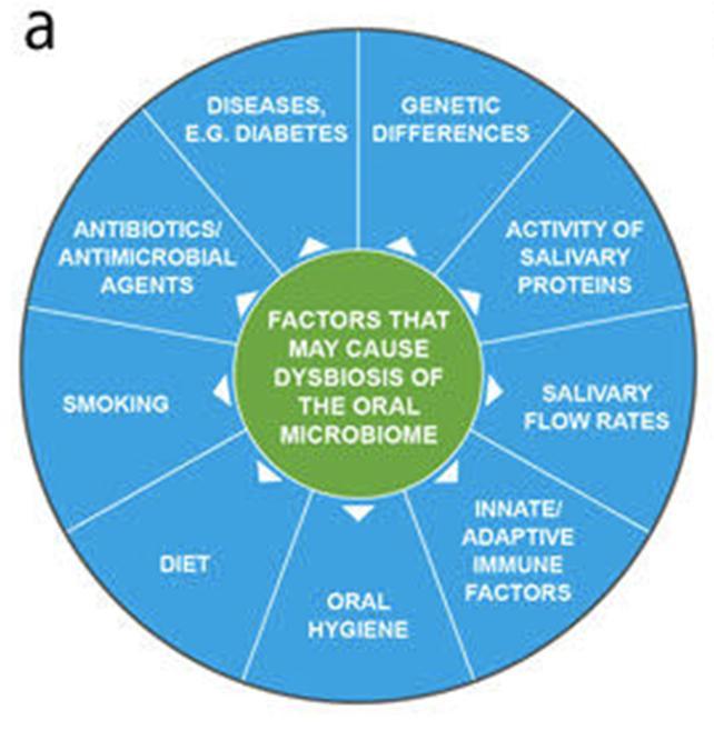 Suun mikrobiston dysbioosille altistavia tekijöitä Refluksi Sjögrenin syndrooma Lääkitykset Pään alueen sädehoito Ikä Runsaasti sokeria sisältävä ruokavalio Hammasproteesit