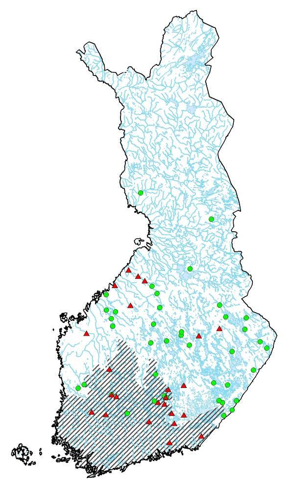 Amerikasta ja Aasiasta ei-toivottuja loisia Rapuruttotapaukset 1996-2006 Ankeriaan uimarakkoloinen (Anguillicola crassus)