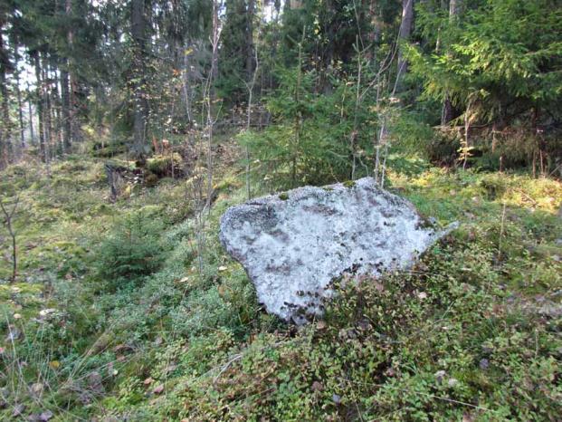 Kuva 17. Pystykivi mäen laen eteläreunalla. Kuvattu kaakosta. (Kuva: Tampere Rusko täydennys 2015: 11) Kuva 17.