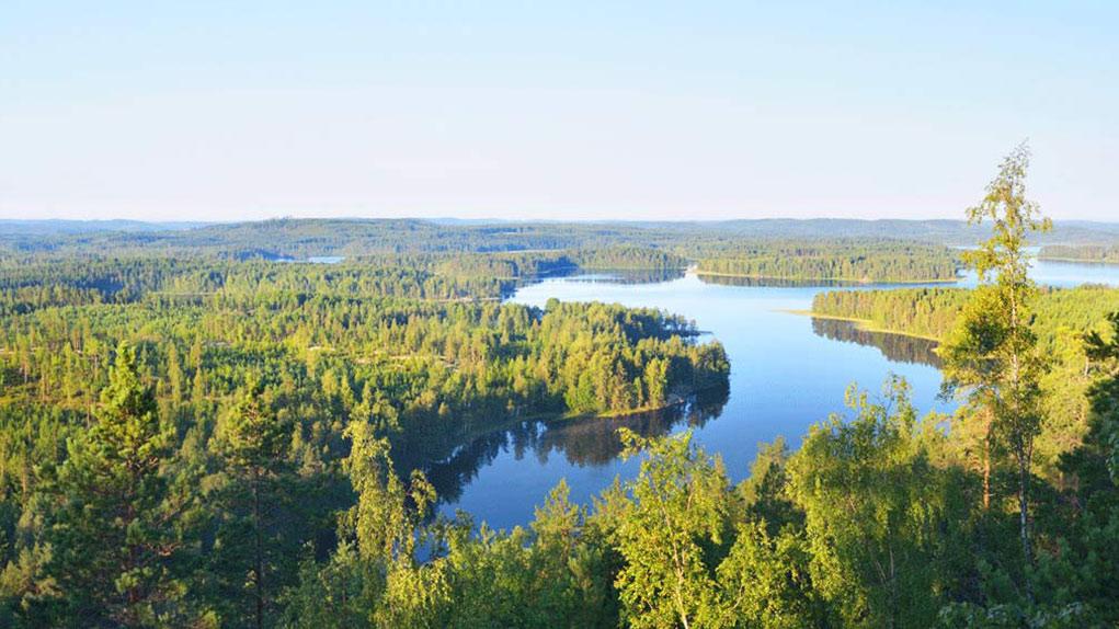 Metsäohjelman seuranta Kainuu Tuomo