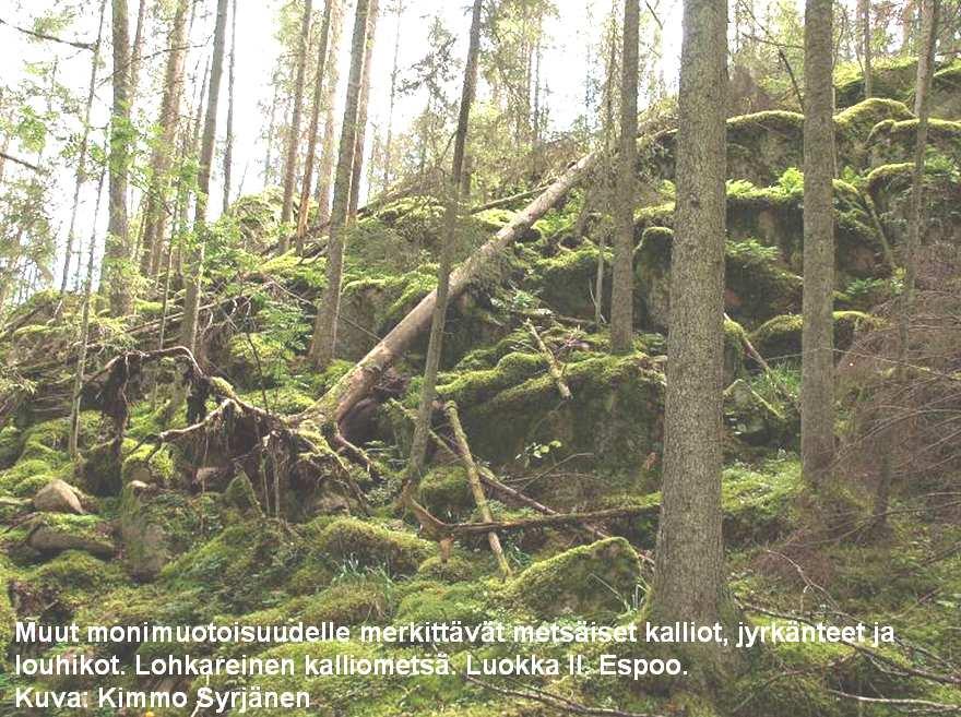 19 Muut suojeluohjelmat Natura ja muut vanhat suojeluohjelmat Piti valmistua 2009 loppuun mennessä = olla sopimukset tehtynä toteuttamatta vielä muutama tuhat ha läntisessä Suomessa Soiden suojelun