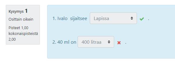 8 Tallenna lopuksi.