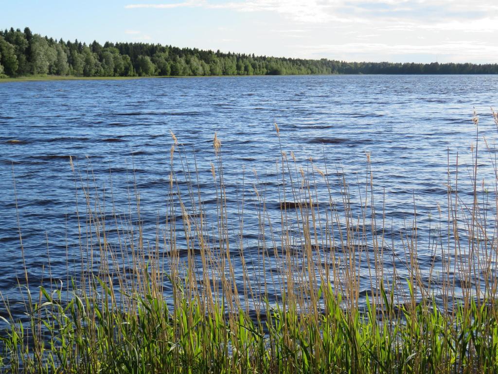 Kuivasjärvi - vedenlaatu Koko vuosi ph samaa luokkaa kuin Pyykösjärvessä sähkönjohtavuus Kuivasjärvessä kaksinkertainen Pyykösjärveen nähden vesi tummaa, COD-arvo korkeampi