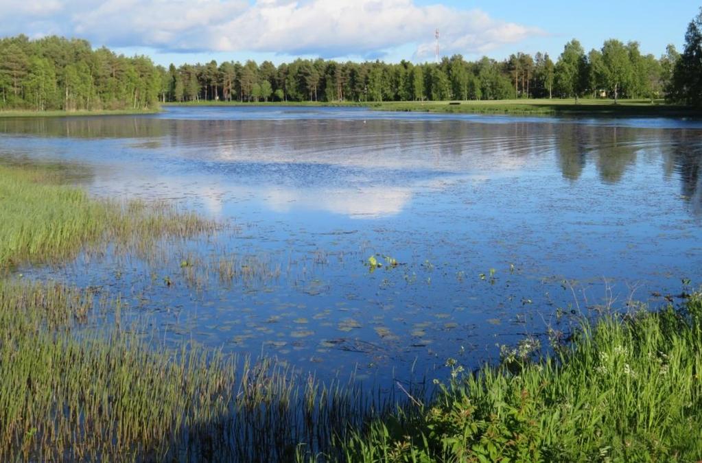 Kuivasjärvi - vedenlaatu Rehevöitynyttä Kaijonlahtea 7.6.2018 Kesä 2017 happitilanne hyvä ravinne- ja a-klorofyllipitoisuudet ilmensivät rehevyyttä, pitoisuudet huomattavasti alh.