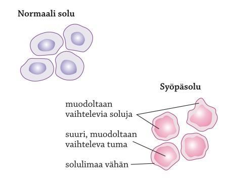 DNA on pahasti vaurioitunut, käynnistävät apoptoosin eli ohjelmoidun solukuoleman.