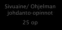 Kauppatieteiden maisterin tutkinto 120 0p Pro gradu -tutkielma 30 op Pääaineen syventävät opinnot 30-35 op Yleis-, kieli- ja viestintäopinnot 9-14 op Menetelmäopinnot 10-15 op Sivuaine/ Ohjelman