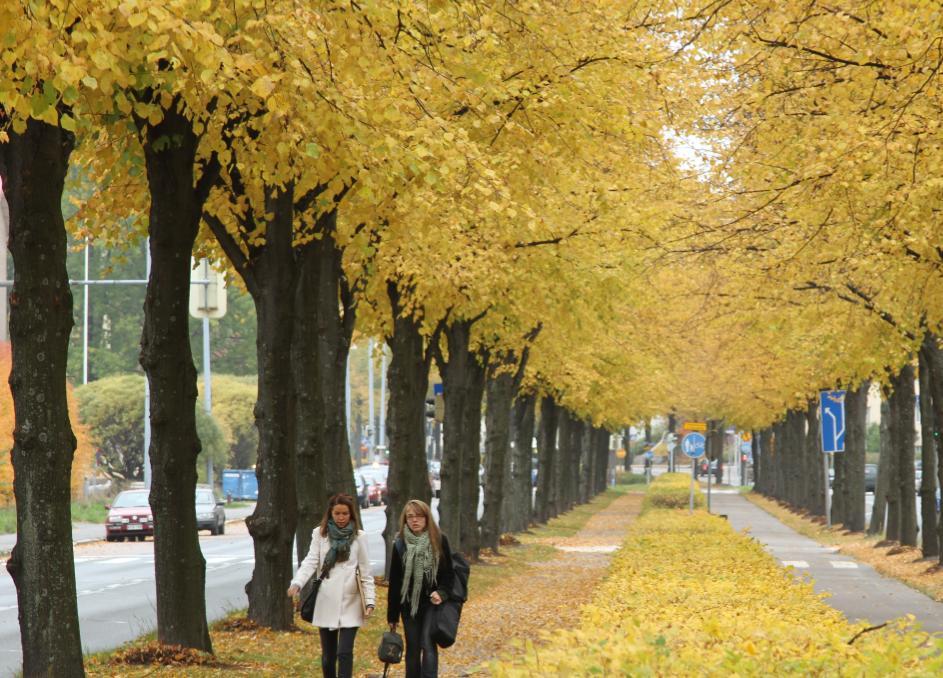 Helsingin kaupunki 3 2013 Tytäryhteisöraportti