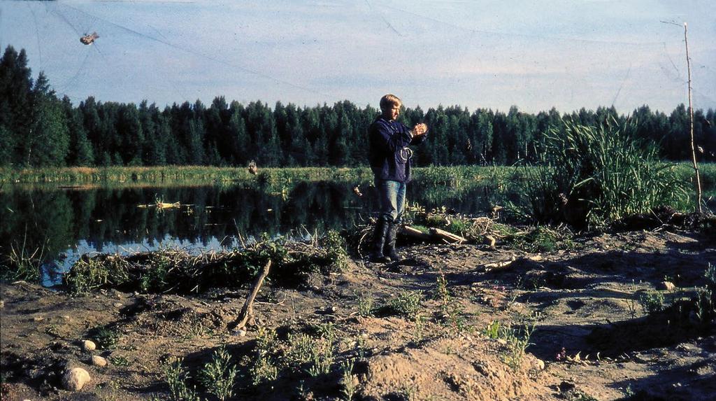 ). Kirjasin pääparven menohetken yöpymispaikalle ja poistumisajankohdan. Tallensin myös säätiedot sekä lämpötilan ja suoritin valaistuksen mittauksen.