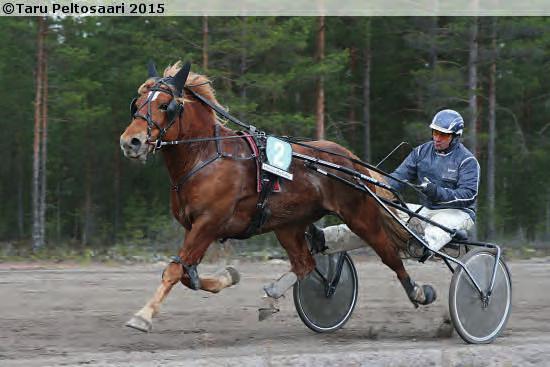 Omistaja: Tor Bränden Valmentaja: