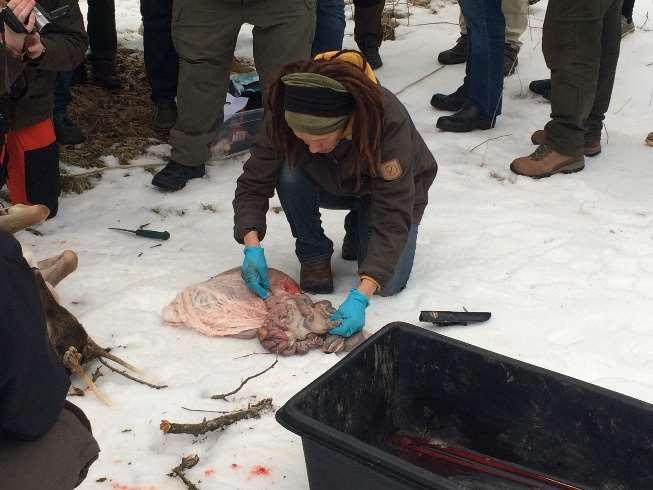 Itä-Suomen yliopistolla ja Luonnonvarakeskuksella on käynnissä tutkimushanke, jossa mm. selvitetään suomalaisten metsiin kohdistamia toiveita ja odotuksia.