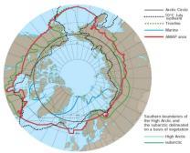 Weckström Hiilen dynamiikka arktisilla