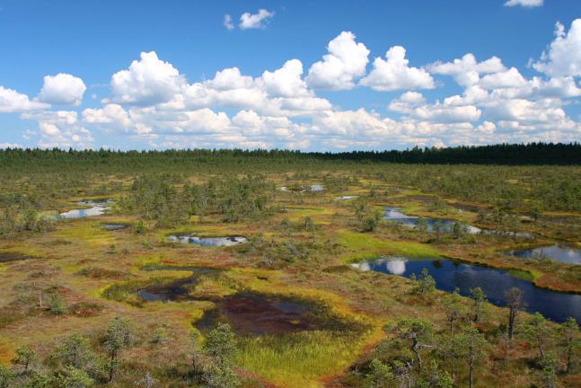 Soiden hiilidynamiikka - lyhyesti Aapasuo Keidassuo Ikirouta suo XCH4 CO2 CO2 CH4 X NO2 X CO2