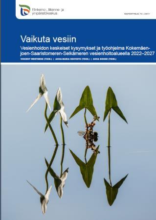 Keskeiset kysymykset Kokemäenjoen-Saaristomeren- Selkämeren vesienhoitoalueella Maatalouden toimenpiteet käytäntöön Metsätalouden vesiensuojelun tehostaminen Vesielinympäristöjen parantaminen