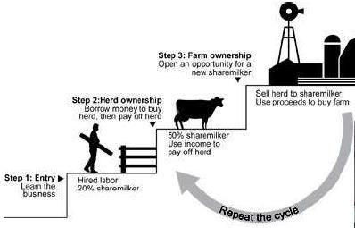 PRINCIPLE IDEA OF SHAREMILKING Sharemilking is an agreement between a farm owner and a sharemilker, who combine their resources such as land, labour, capital and expertise.