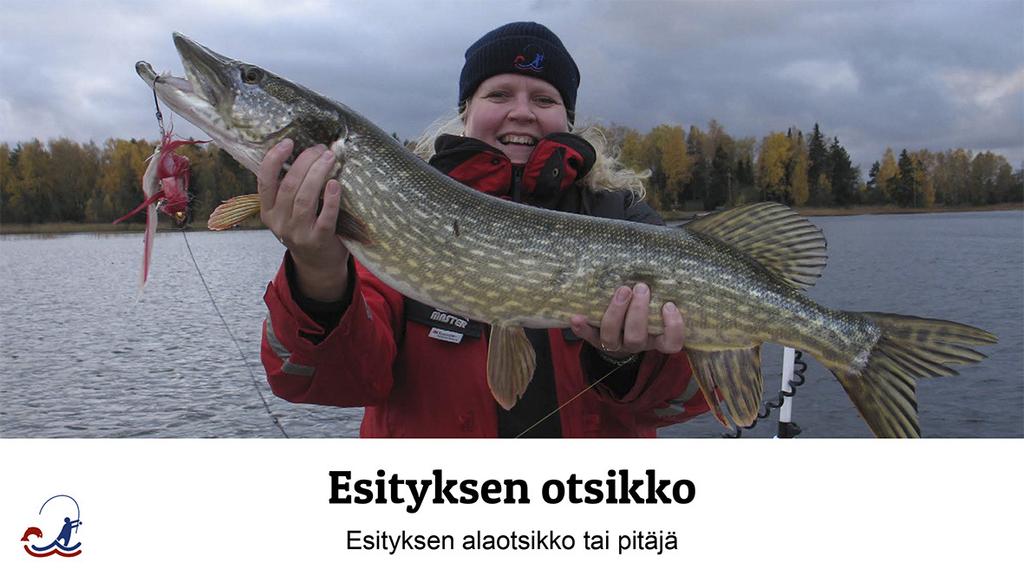 Vapaa-ajankalastajatunnuksen, dian numeron, päivämäärän ja alatunnisteen päälle ei saa sijoittaa elementtejä.