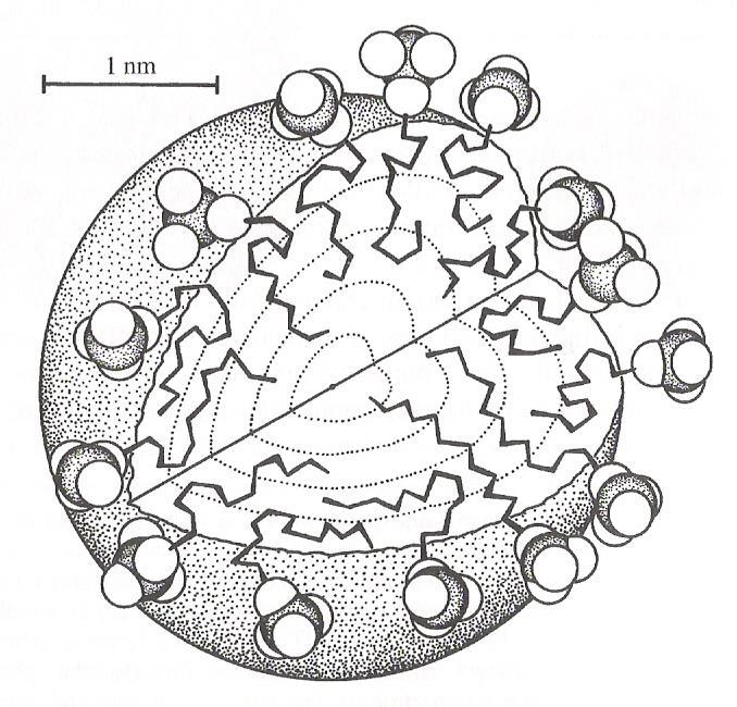 Kts. esim. https://en.wikipedia.